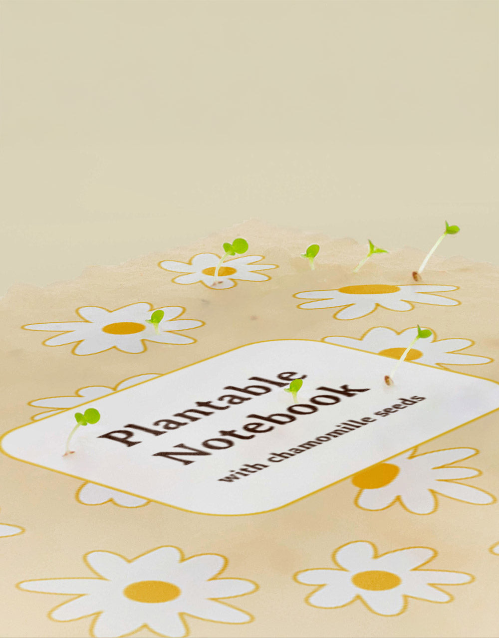 Plantbar Notebook "Kamille"