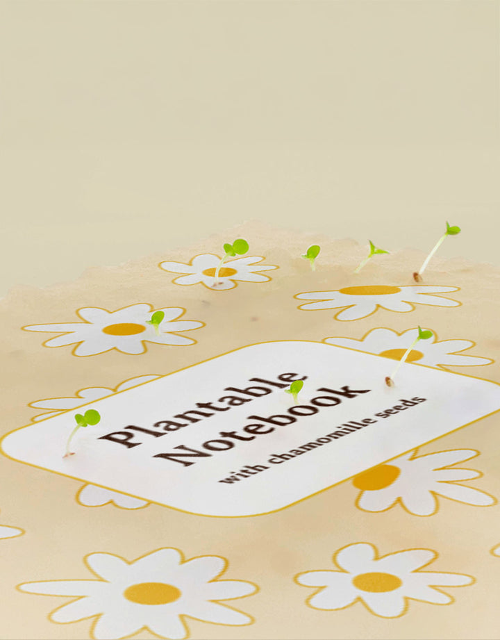Plantbar Notebook "Kamille"