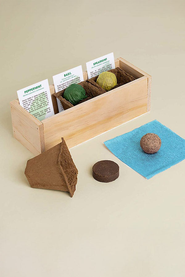 Mojito Growing Kit