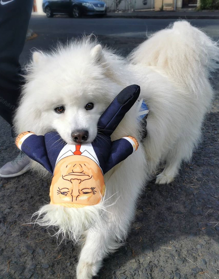 Donald - for dogs