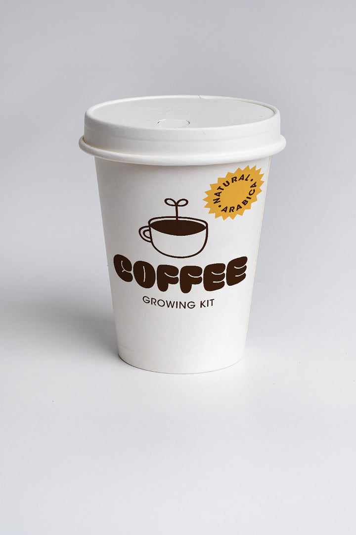 Coffee Growing Kit