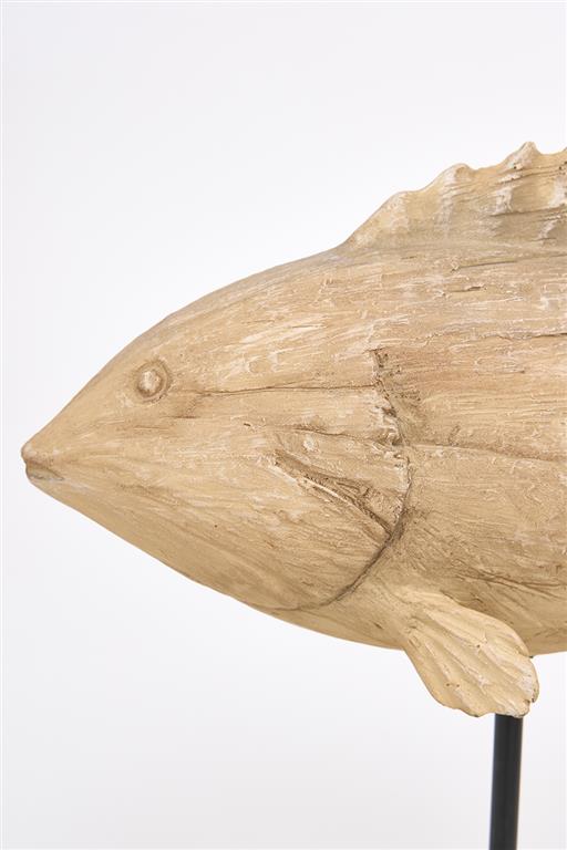Fisk på fod
