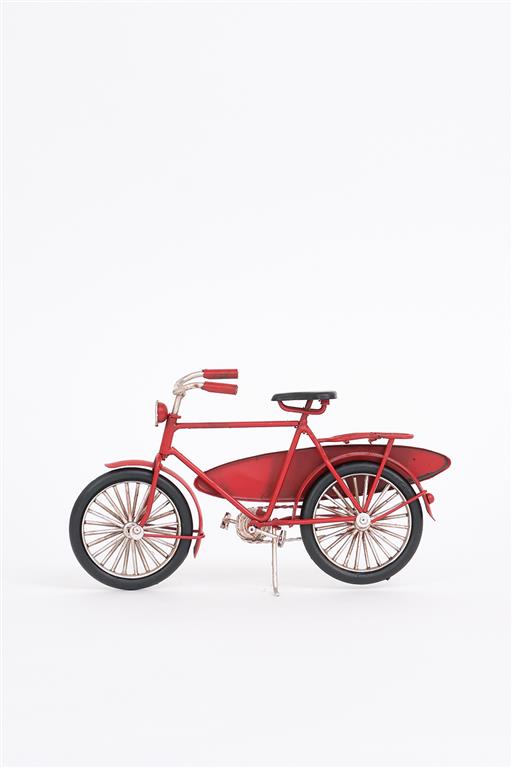 Surf Bike