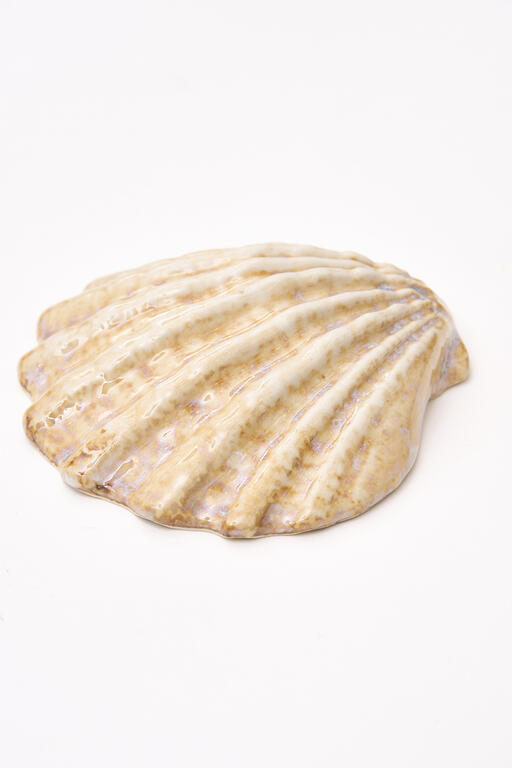 Muscheln – Keramik (3 Stück)