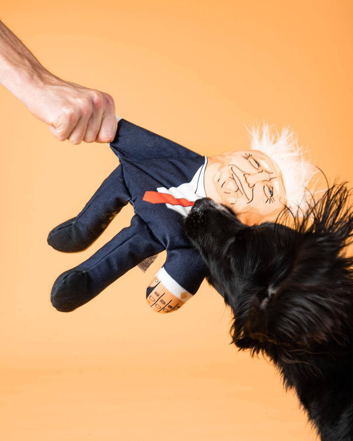 Donald - for dogs