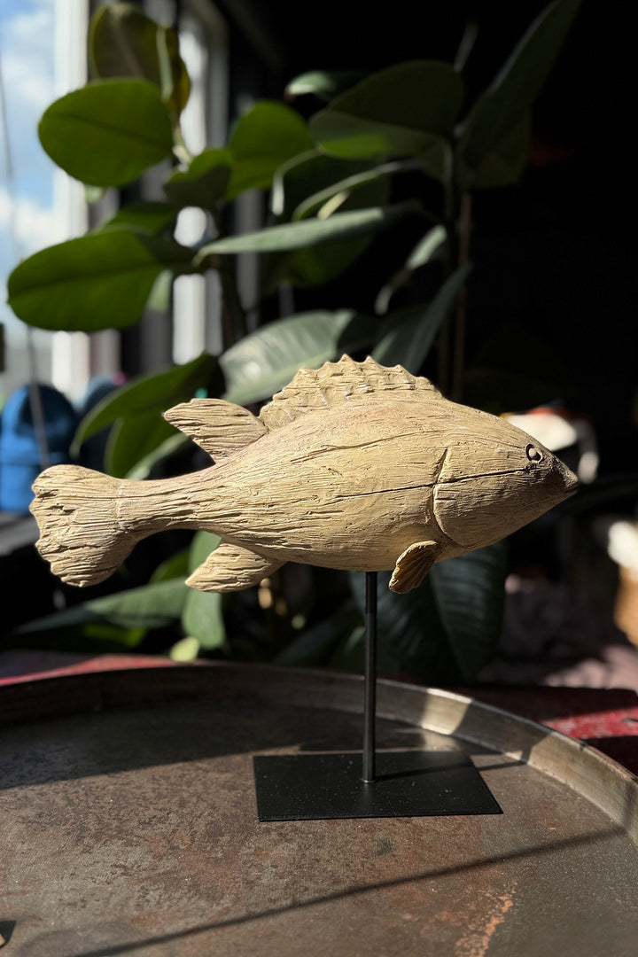 Fisch - Deko