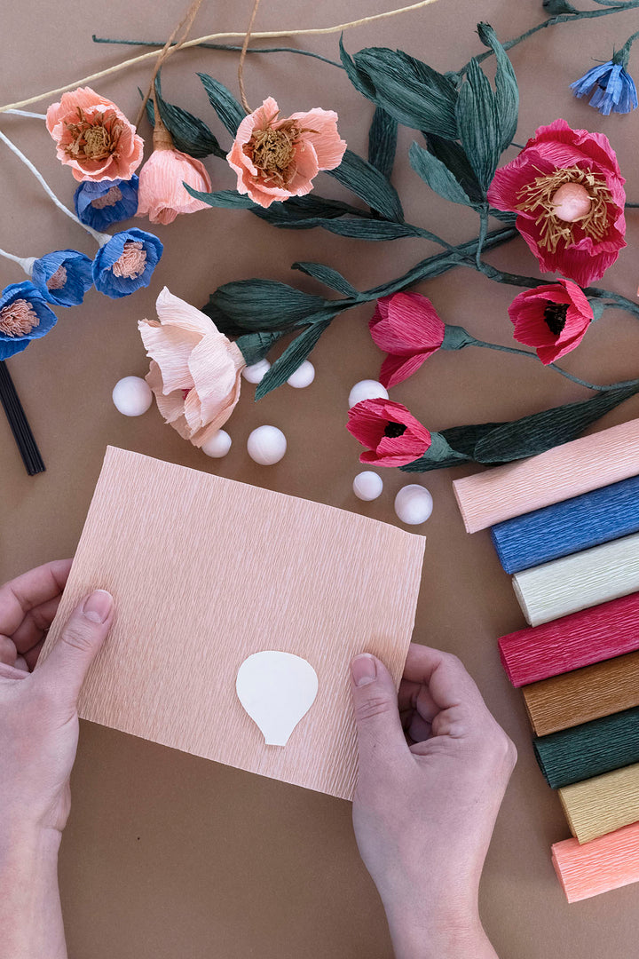 Paper Flower Kit