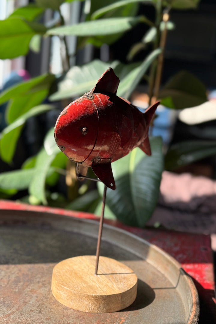 Fisk - Recycled Metal