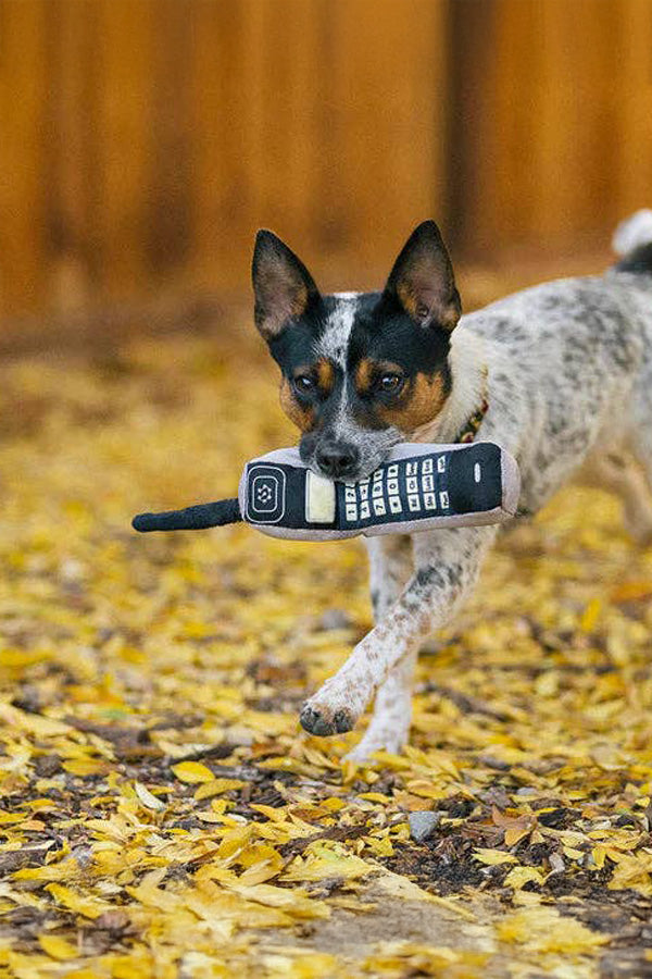 Handy - for dogs