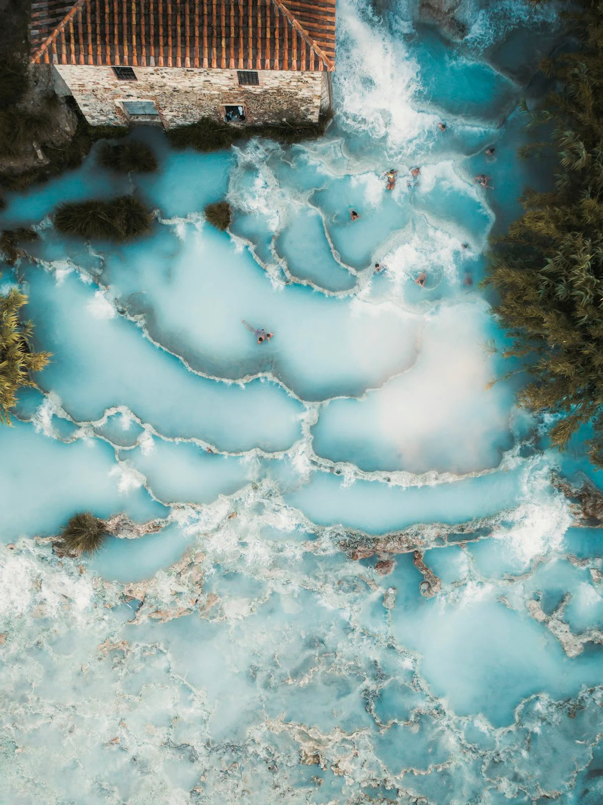 Book "The Nature of Swimming"