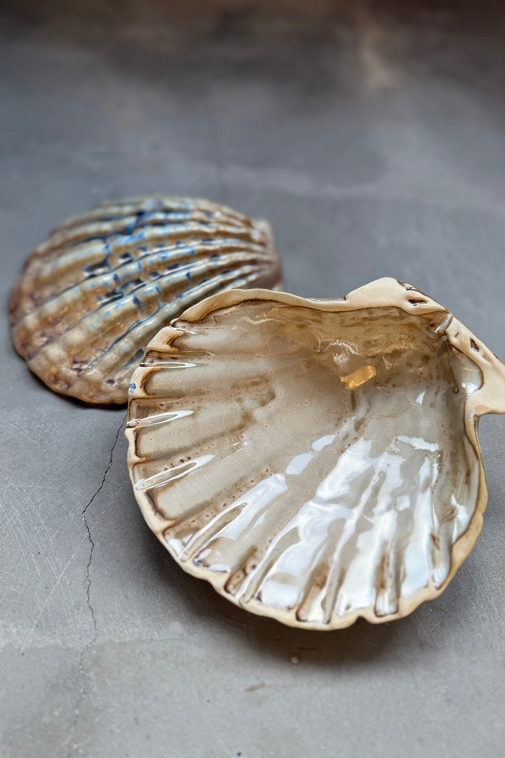 Shell Plates - Keramik (2 stk)