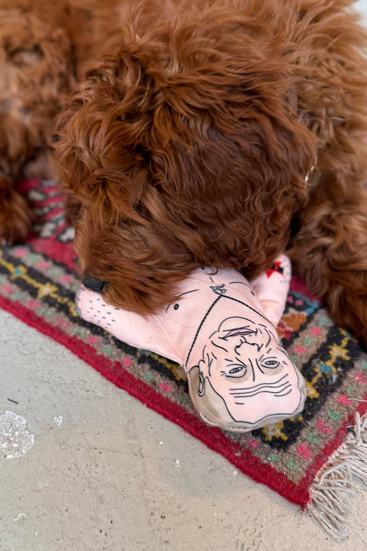 Vladimir Pivedyr - for dogs
