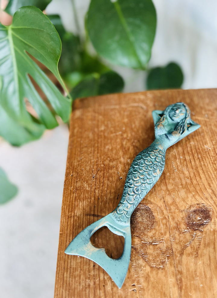 Oplukker - Støbejern